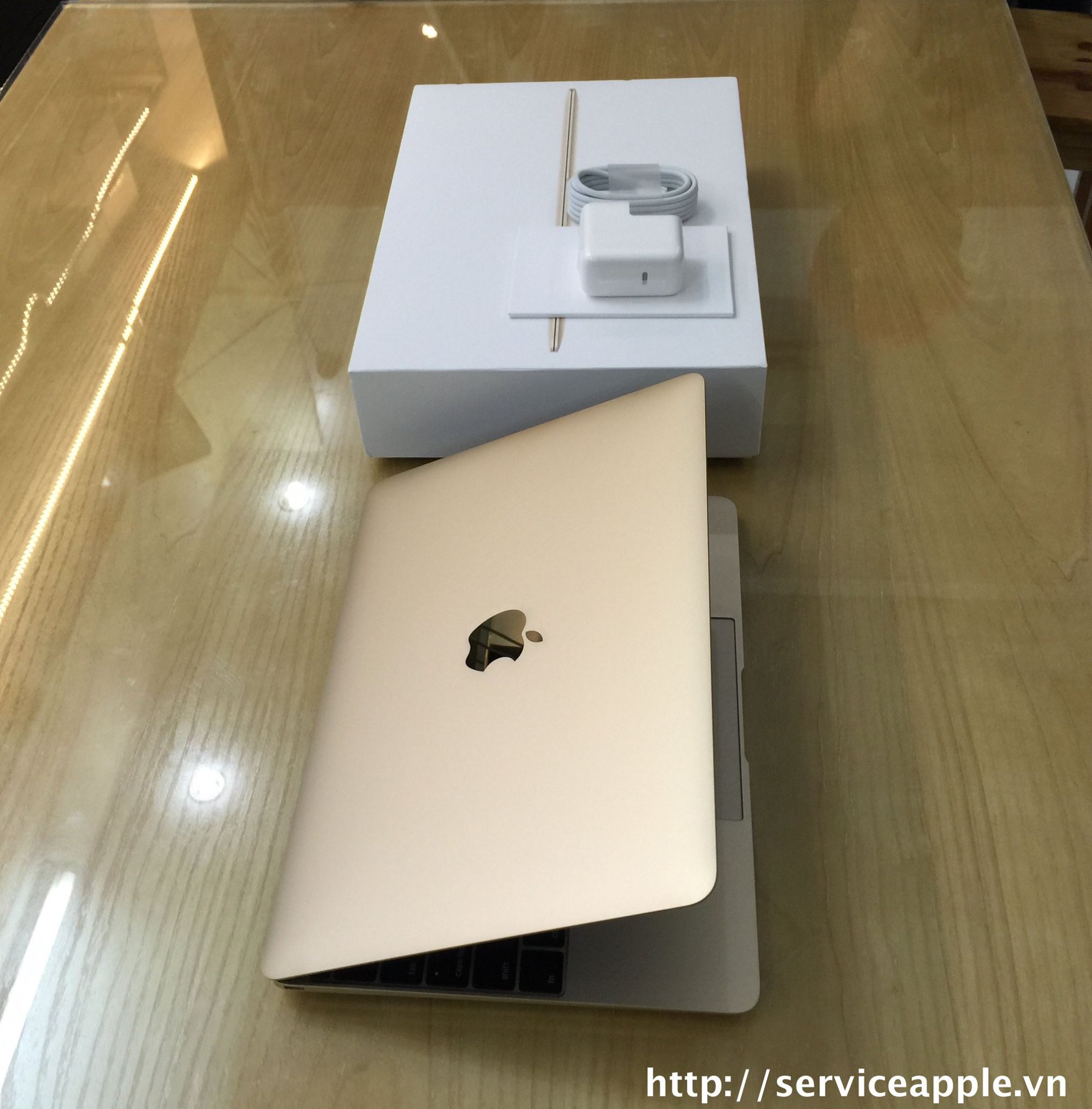 The New MacBook 12 inch GOLD - MK4N2_3.jpg